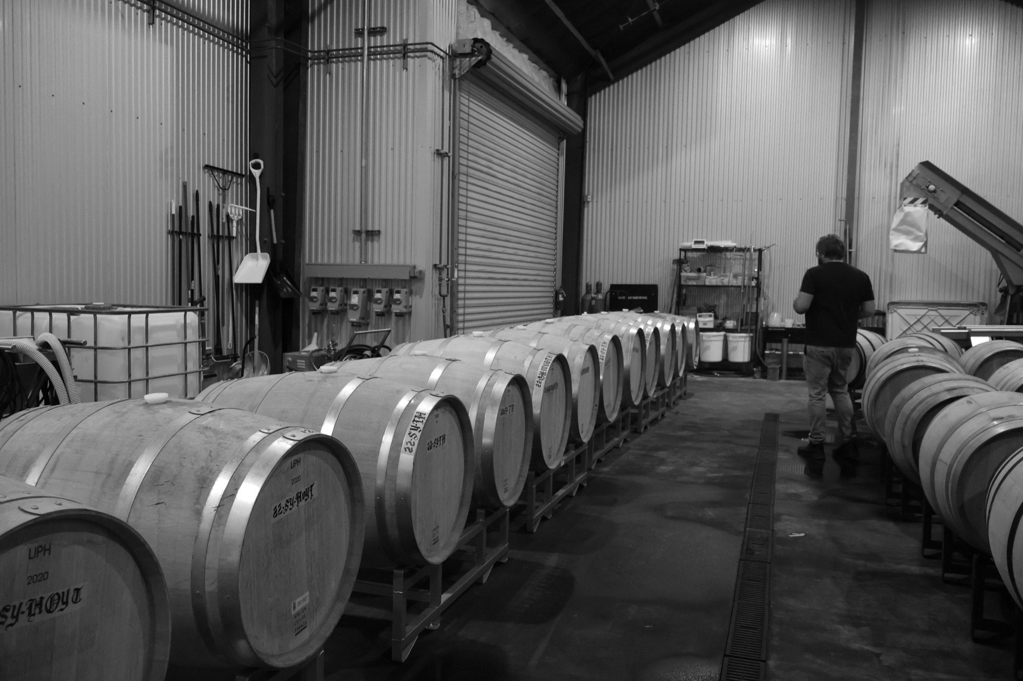 Paco Winery tasting room